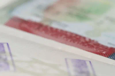 Immigration Fraud